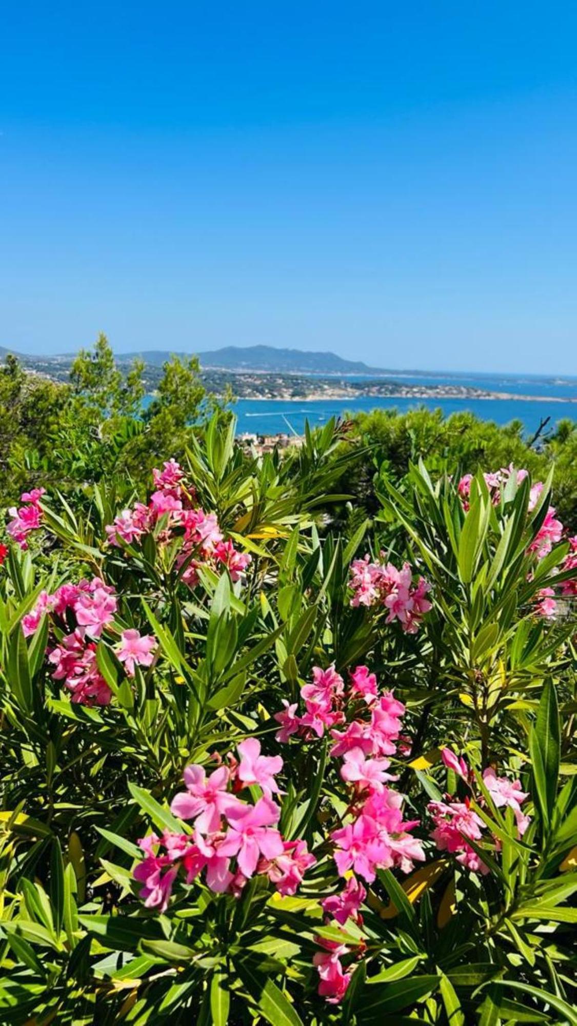 Vue Mer Imprenable Et Piscine Bandol Exterior foto